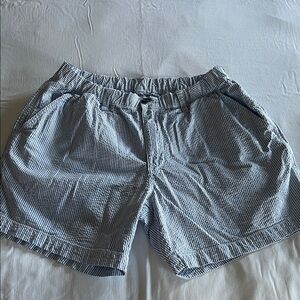 Chubbies Blue and White Striped Men's Shorts